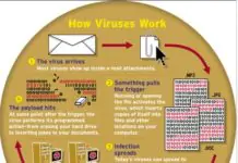 What is a Computer Virus and Types of Virus